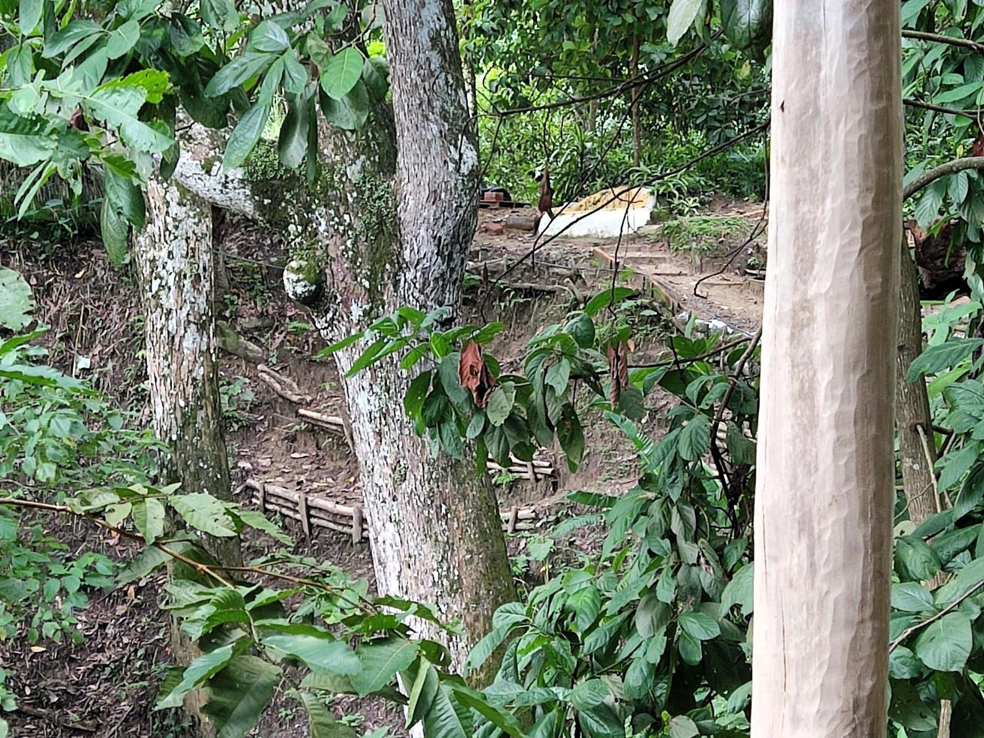 Eden Los Abuelos 2 - Casa Privada En Minca Nature Kültér fotó