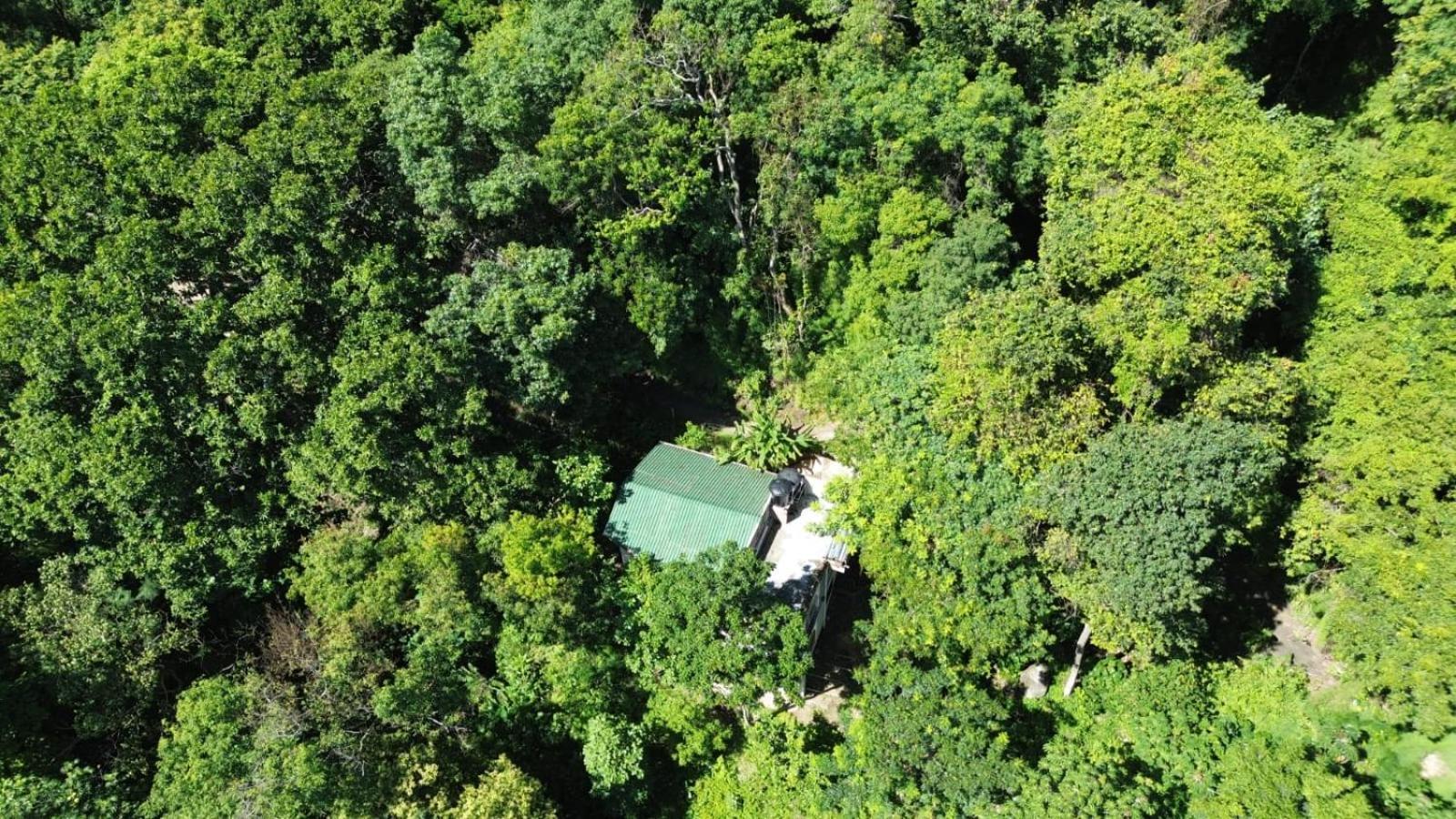 Eden Los Abuelos 2 - Casa Privada En Minca Nature Kültér fotó