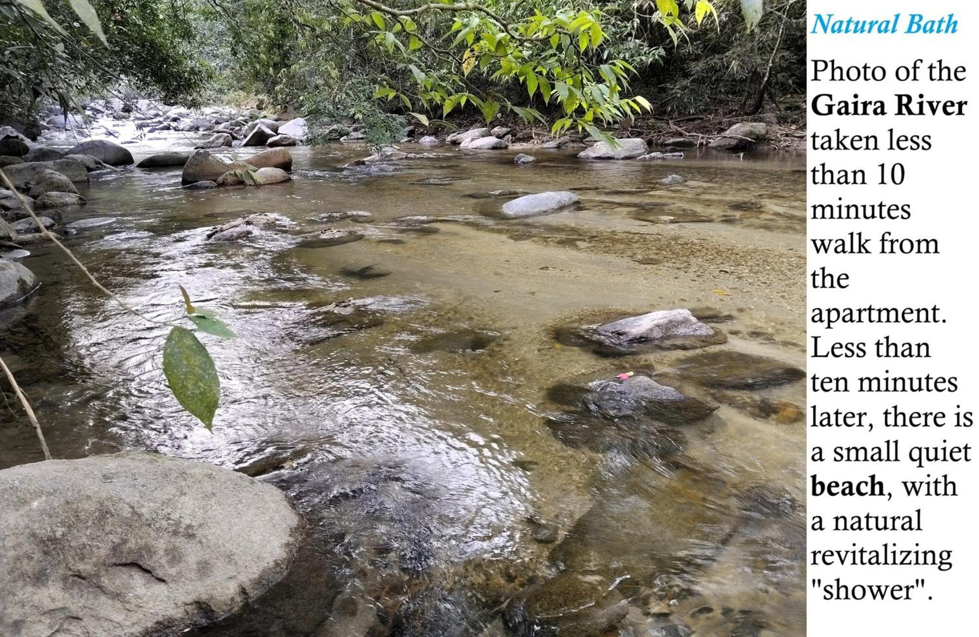 Eden Los Abuelos 2 - Casa Privada En Minca Nature Kültér fotó